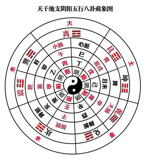 辛金 丙火|你真的懂丙火吗？